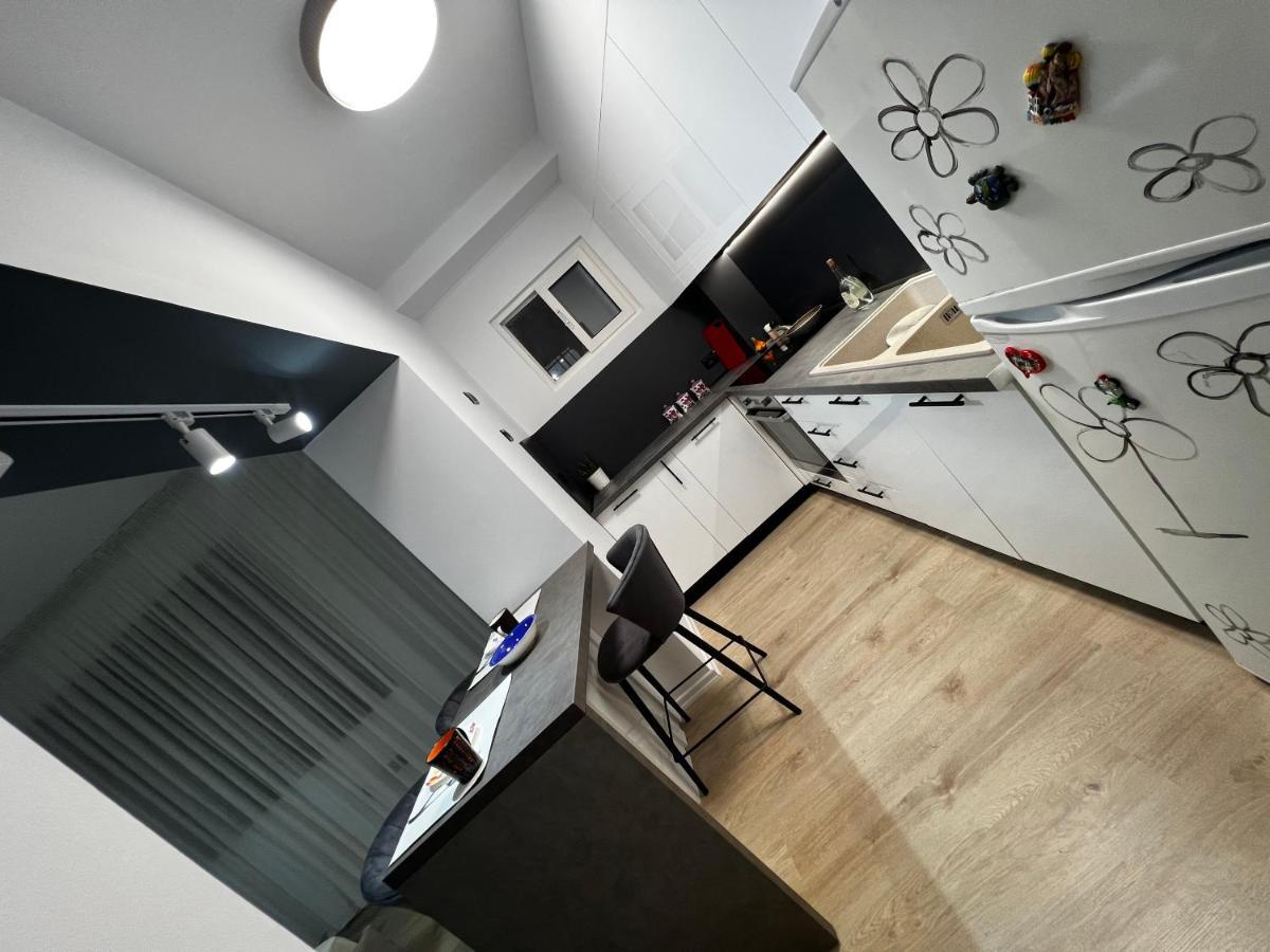 Amion Apartment In Center Of 地拉那 外观 照片