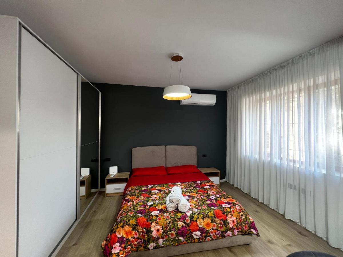 Amion Apartment In Center Of 地拉那 外观 照片